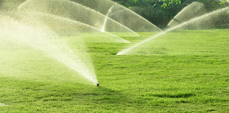 Irrigation Hawkesbury,