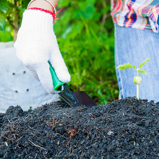 Amendement des sols Hawkesbury