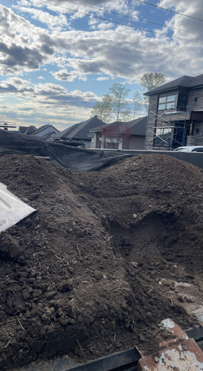 Traitement de pelouse Hawkesbury