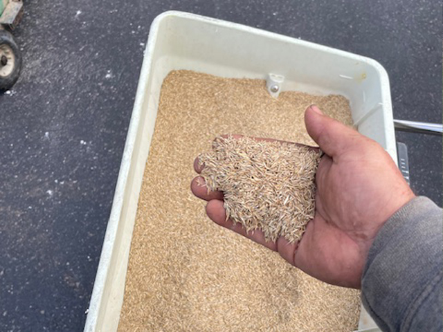 Traitement de pelouse Hawkesbury